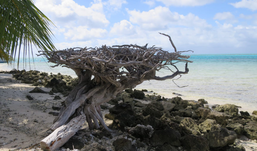 atoll toau atoll toau